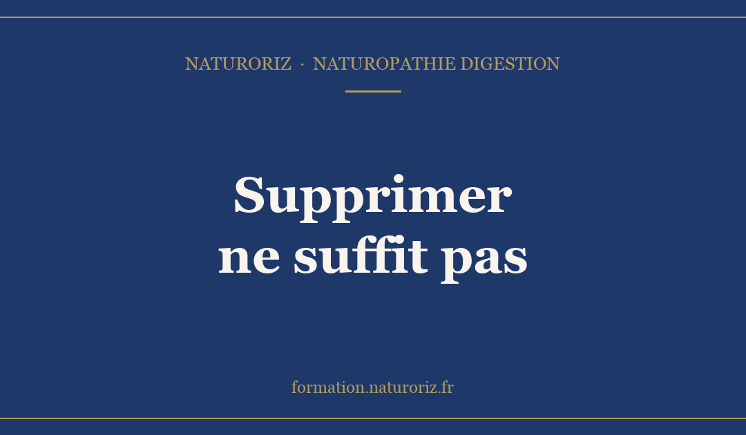 Sans gluten, sans lactose, sans FODMAP… et toujours ballonnée ? Pourquoi supprimer ne suffit pas (et peut aggraver)
